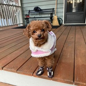 Meet your Posher, Beverly